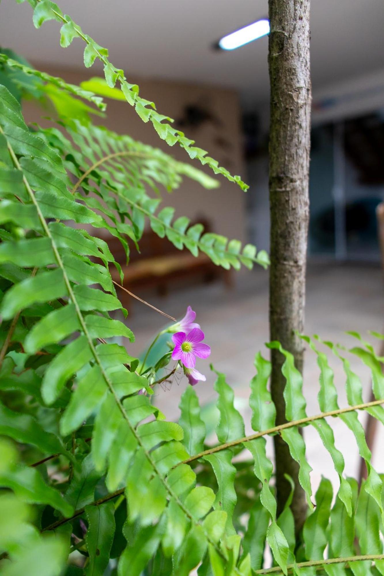 Suites Margarida Ubatuba Luaran gambar